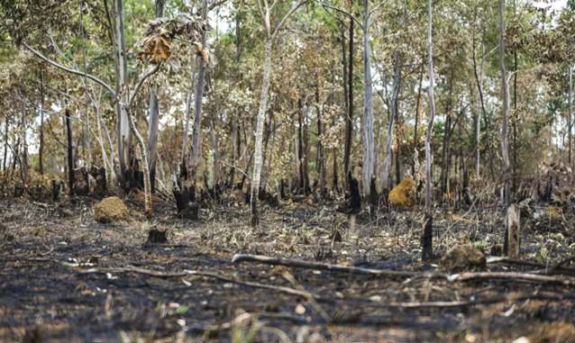 em-evento-em-goiania,-caiado-volta-a-criticar-reforma-tributaria