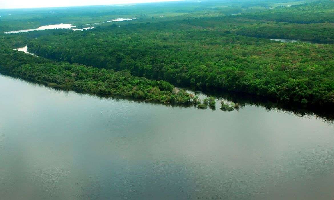 ecologa-paraense-defende-fortalecimento-de-comunidades-da-amazonia