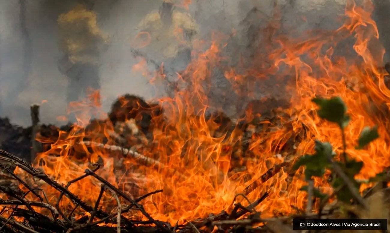 pantanal-acumula-em-12-meses-mais-de-9-mil-focos-de-incendio